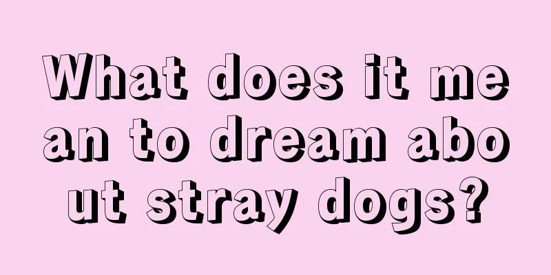 What does it mean to dream about stray dogs?