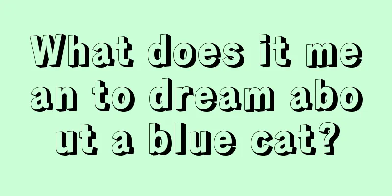 What does it mean to dream about a blue cat?