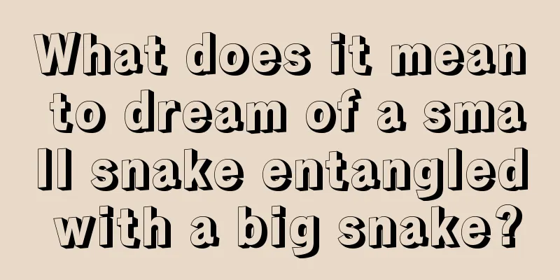 What does it mean to dream of a small snake entangled with a big snake?