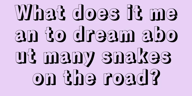 What does it mean to dream about many snakes on the road?