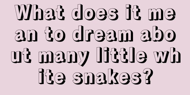 What does it mean to dream about many little white snakes?