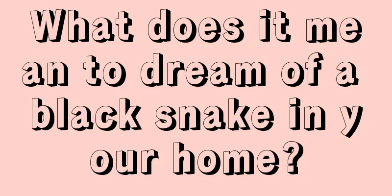 What does it mean to dream of a black snake in your home?