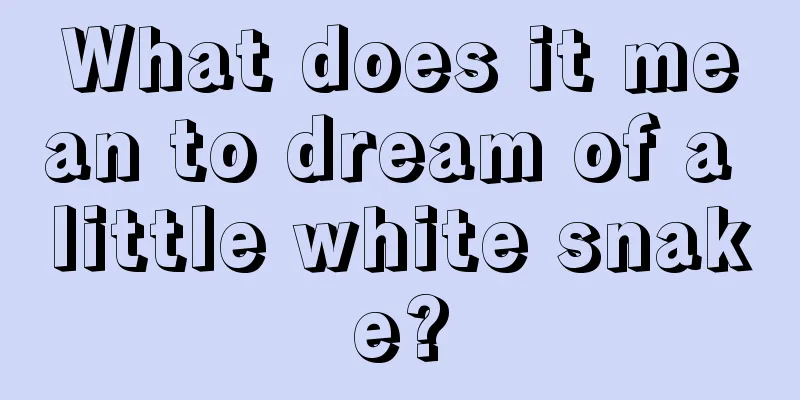 What does it mean to dream of a little white snake?