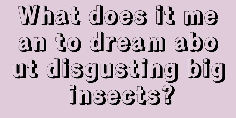 What does it mean to dream about disgusting big insects?