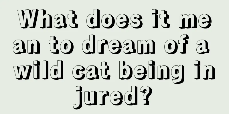 What does it mean to dream of a wild cat being injured?