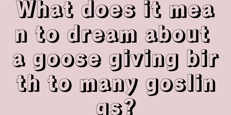 What does it mean to dream about a goose giving birth to many goslings?