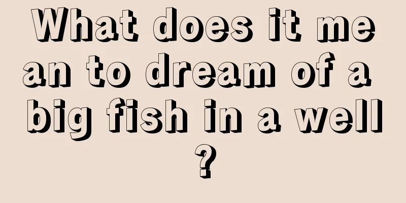 What does it mean to dream of a big fish in a well?