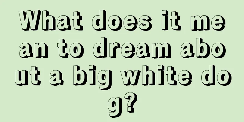 What does it mean to dream about a big white dog?