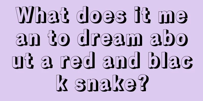 What does it mean to dream about a red and black snake?