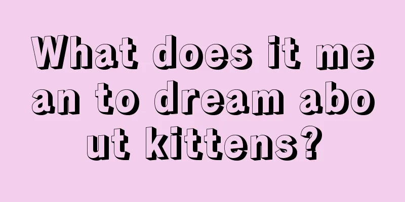 What does it mean to dream about kittens?