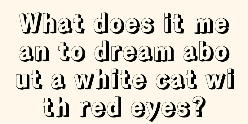 What does it mean to dream about a white cat with red eyes?