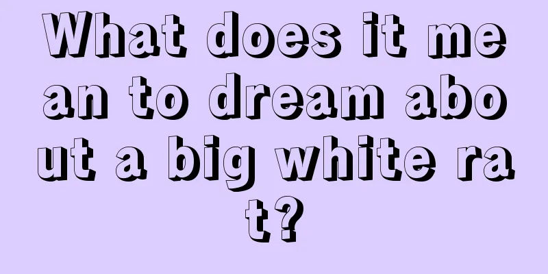 What does it mean to dream about a big white rat?