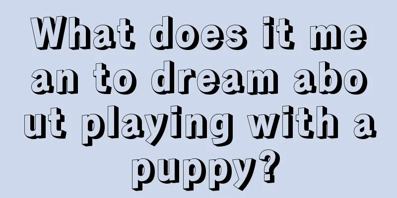 What does it mean to dream about playing with a puppy?