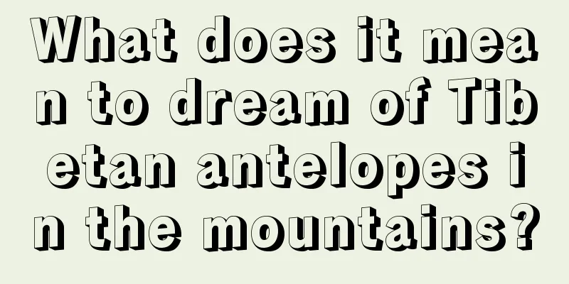 What does it mean to dream of Tibetan antelopes in the mountains?