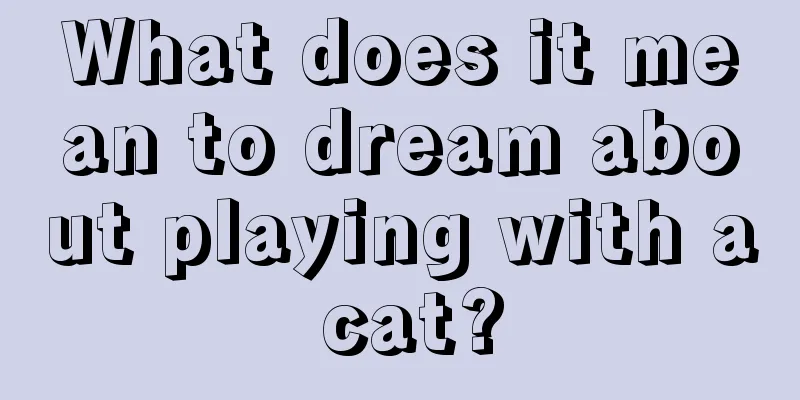 What does it mean to dream about playing with a cat?