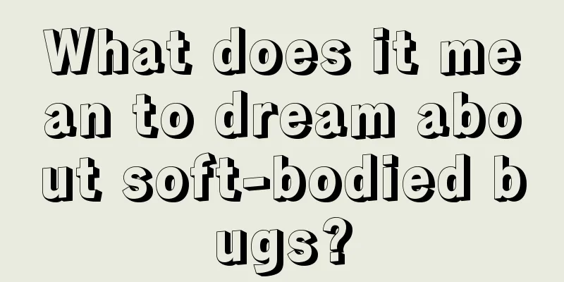 What does it mean to dream about soft-bodied bugs?