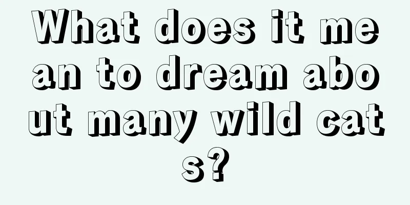 What does it mean to dream about many wild cats?