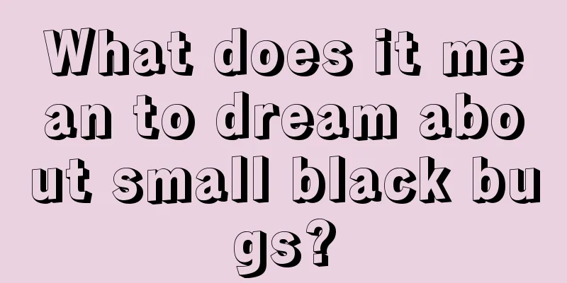 What does it mean to dream about small black bugs?