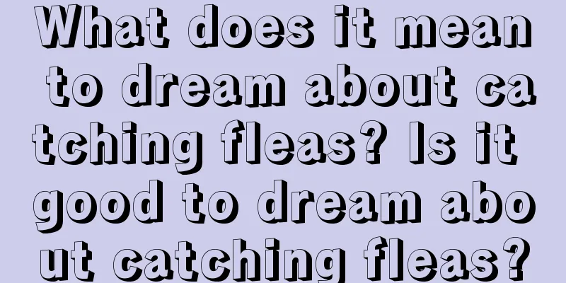 What does it mean to dream about catching fleas? Is it good to dream about catching fleas?