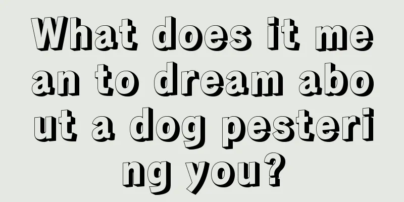 What does it mean to dream about a dog pestering you?