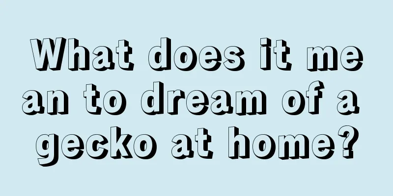 What does it mean to dream of a gecko at home?