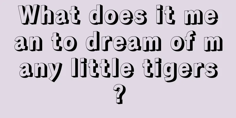 What does it mean to dream of many little tigers?