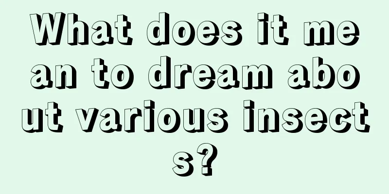 What does it mean to dream about various insects?