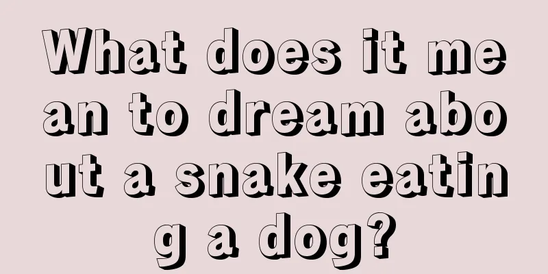 What does it mean to dream about a snake eating a dog?