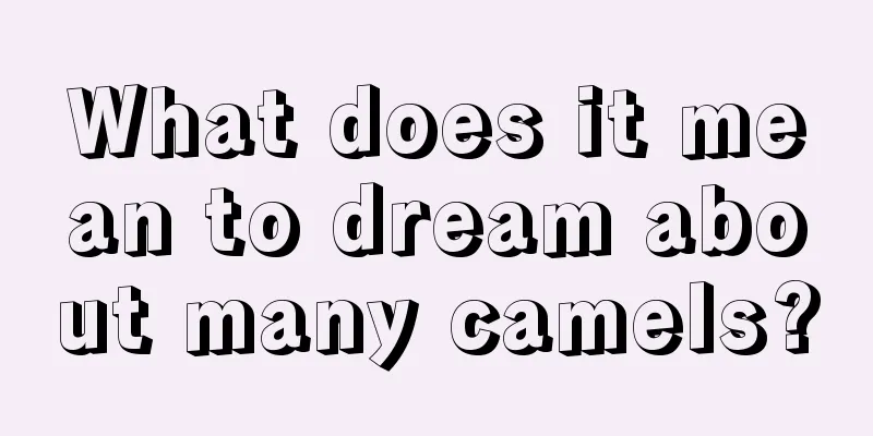 What does it mean to dream about many camels?