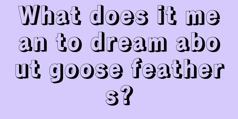 What does it mean to dream about goose feathers?