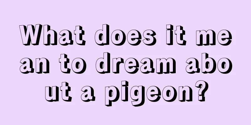 What does it mean to dream about a pigeon?