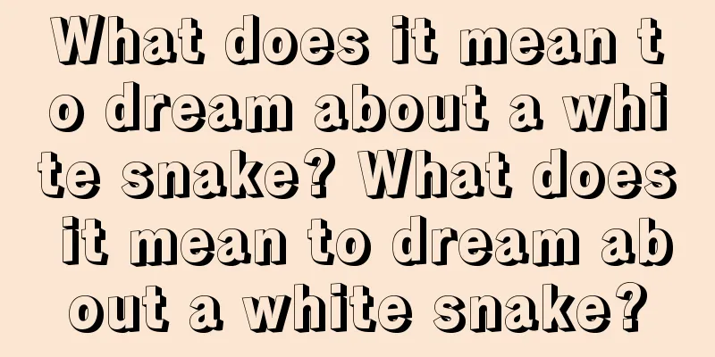 What does it mean to dream about a white snake? What does it mean to dream about a white snake?