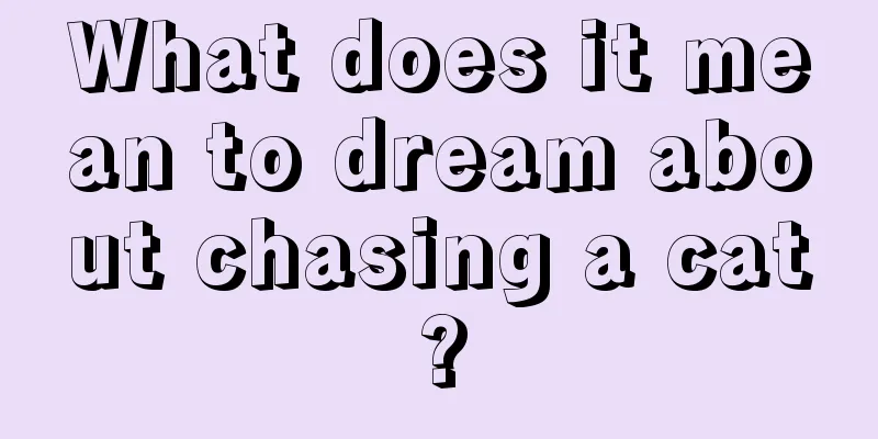 What does it mean to dream about chasing a cat?