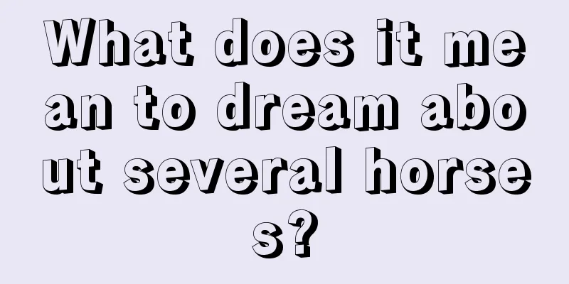 What does it mean to dream about several horses?