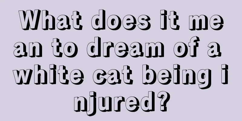 What does it mean to dream of a white cat being injured?