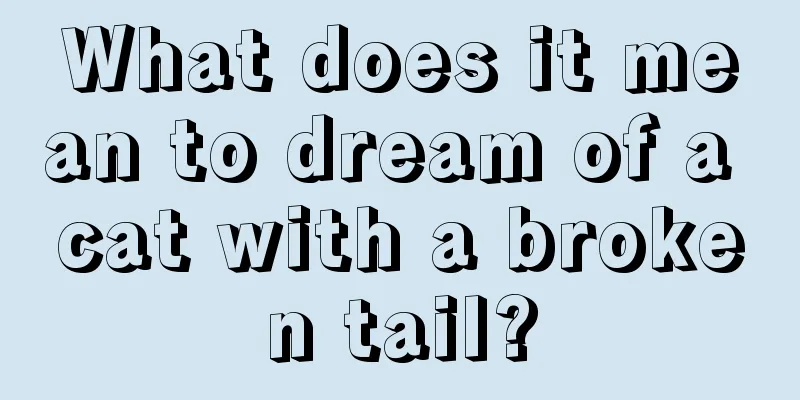 What does it mean to dream of a cat with a broken tail?