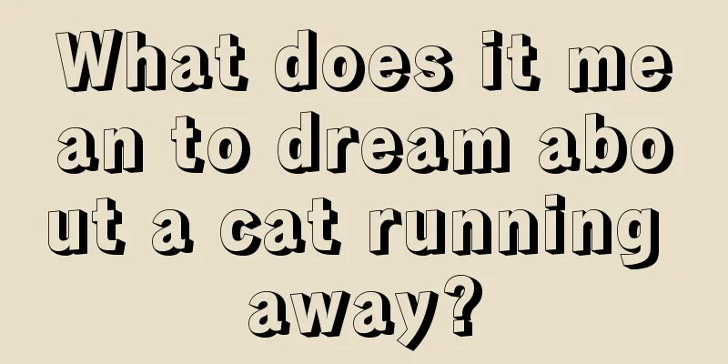 What does it mean to dream about a cat running away?