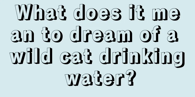 What does it mean to dream of a wild cat drinking water?