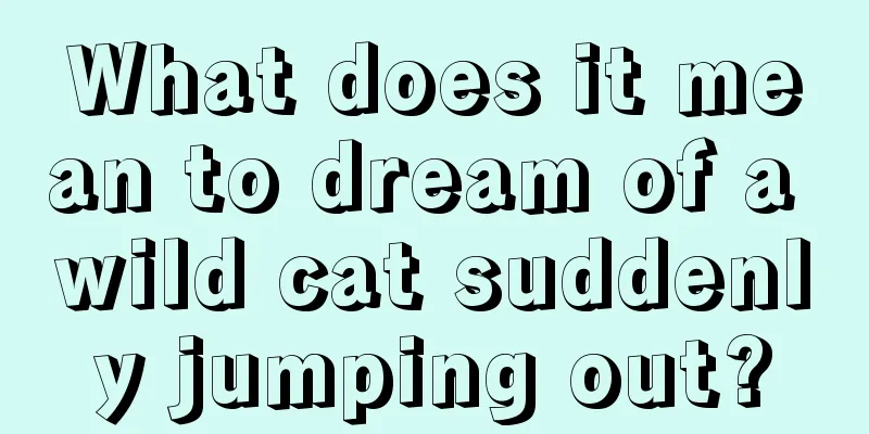 What does it mean to dream of a wild cat suddenly jumping out?