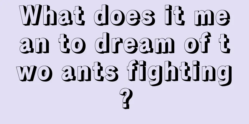 What does it mean to dream of two ants fighting?