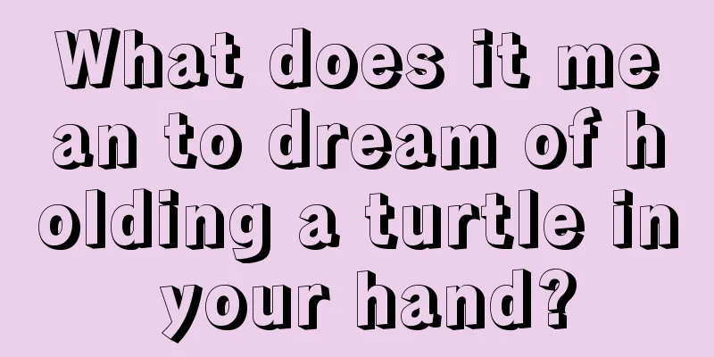 What does it mean to dream of holding a turtle in your hand?