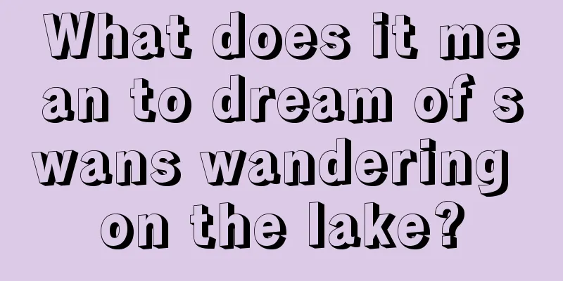 What does it mean to dream of swans wandering on the lake?