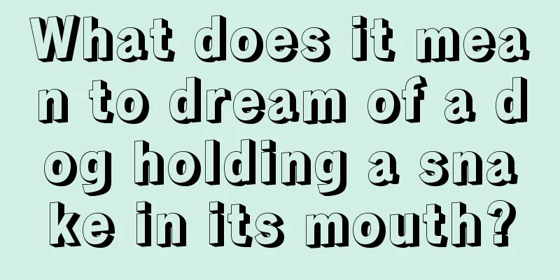 What does it mean to dream of a dog holding a snake in its mouth?