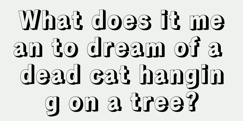 What does it mean to dream of a dead cat hanging on a tree?