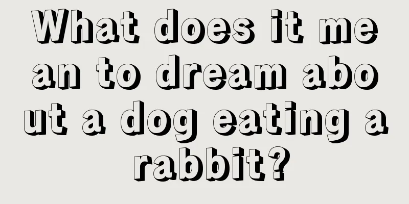 What does it mean to dream about a dog eating a rabbit?