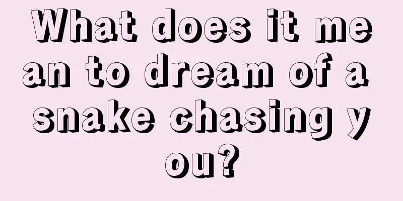 What does it mean to dream of a snake chasing you?