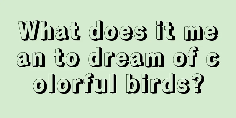 What does it mean to dream of colorful birds?