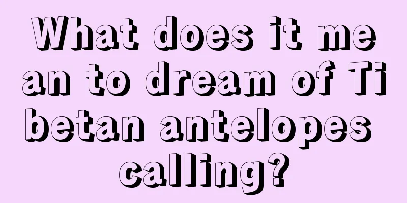 What does it mean to dream of Tibetan antelopes calling?