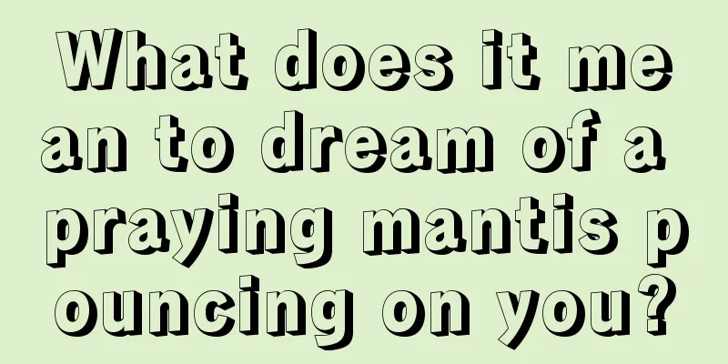 What does it mean to dream of a praying mantis pouncing on you?