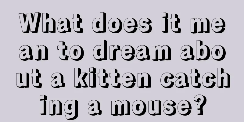 What does it mean to dream about a kitten catching a mouse?